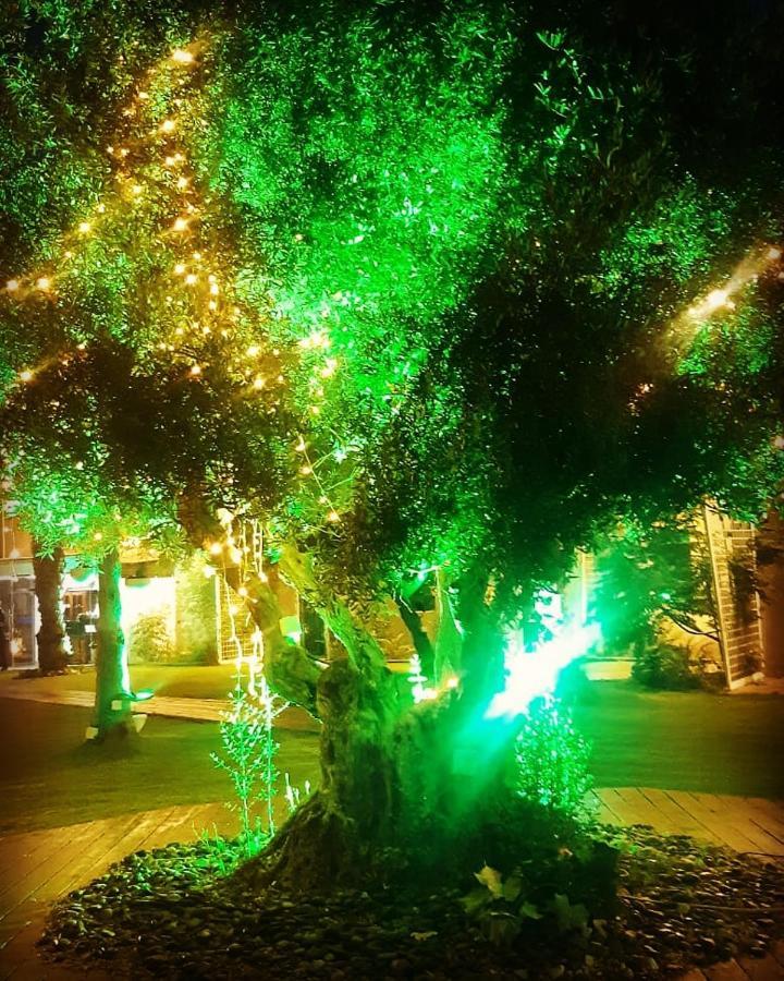 Hotel El Yam à Netanya Extérieur photo